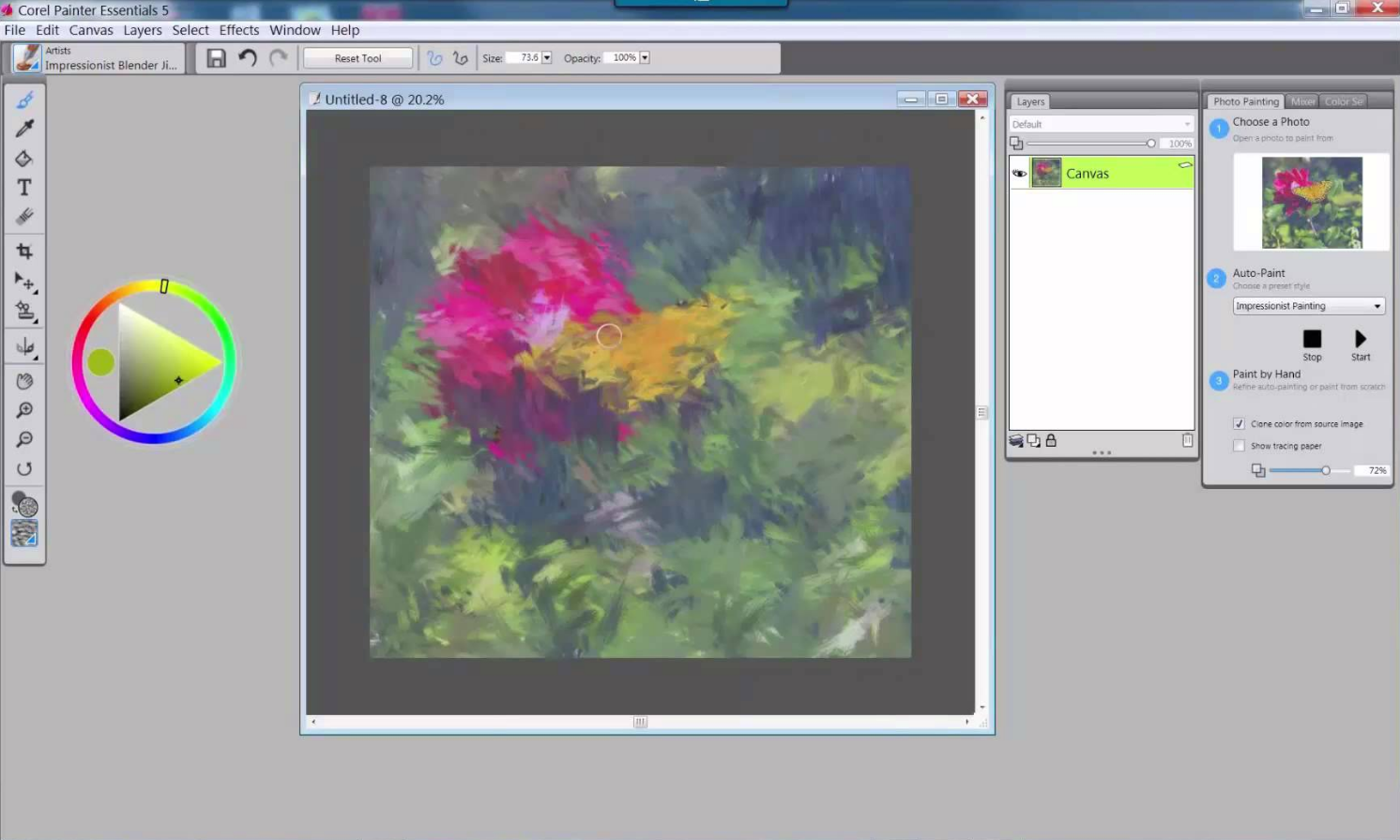 what is the best size canvas size in corel painter essentials 5