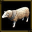 Sheep Hoarder